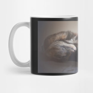 Sweet dreams, kitty cat Mug